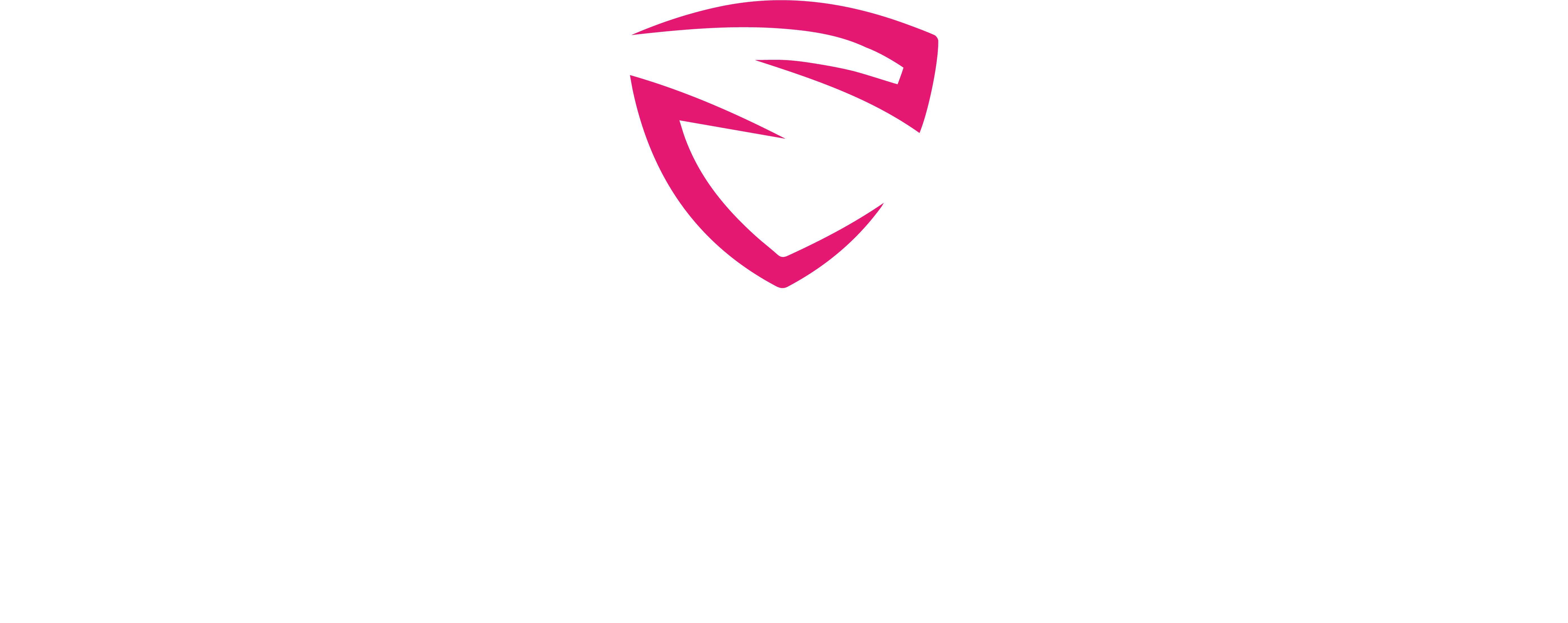 Sportwagenkuse